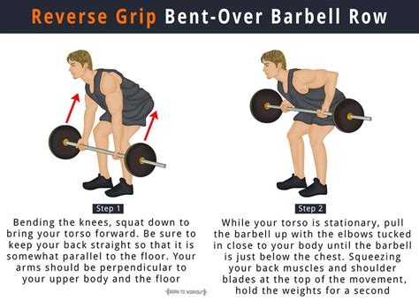 Reverse Grip Barbell Row How To Do Benefits Muscles Worked Born To Workout