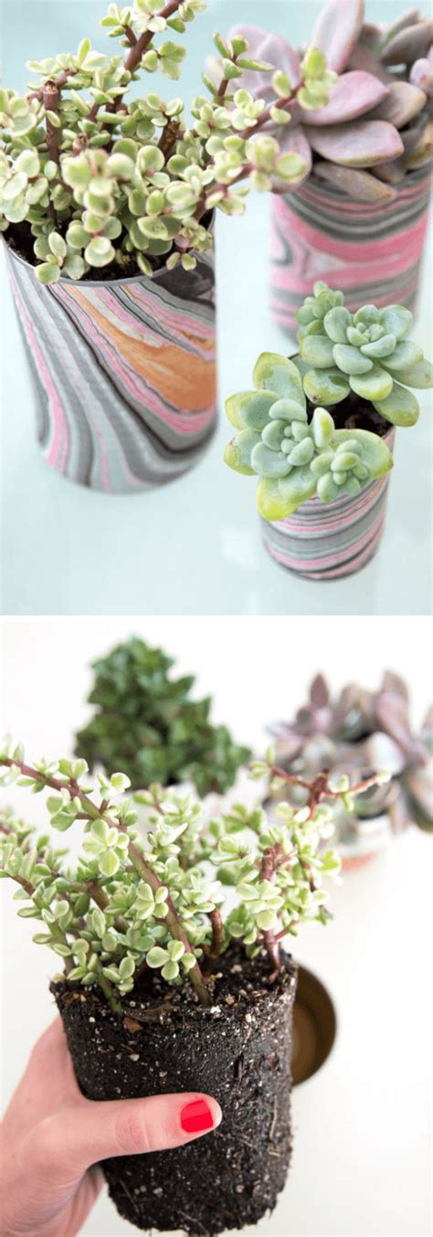 12 Colorful Succulent Container Garden Ideas For Your