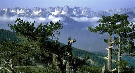 Photographs And Maps Of The The Pindos Pindus Mountains In Northern