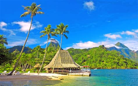 2k Vacation Bungalows Eyes Sky Holiday Sea Palm Trees Huts