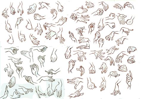 Hand Drawing Reference Hand Reference Hand Poses