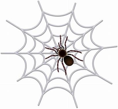Spider Transparent Clipart Clip Halloween Spiderweb Spiderman