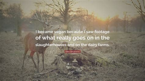 Maybe you would like to learn more about one of these? Vegan Wallpapers (69+ images)