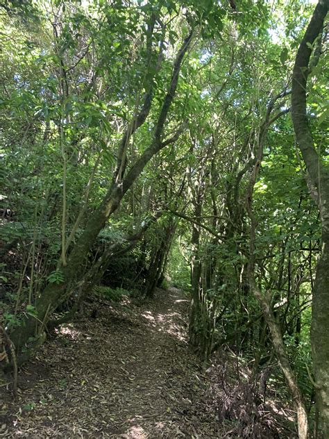 Graveyard Shift, Wellington - Trails Photo Gallery - Wild Things