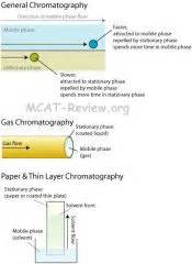 Mcat Organic Chemistry Flashcards Flashcards Cram