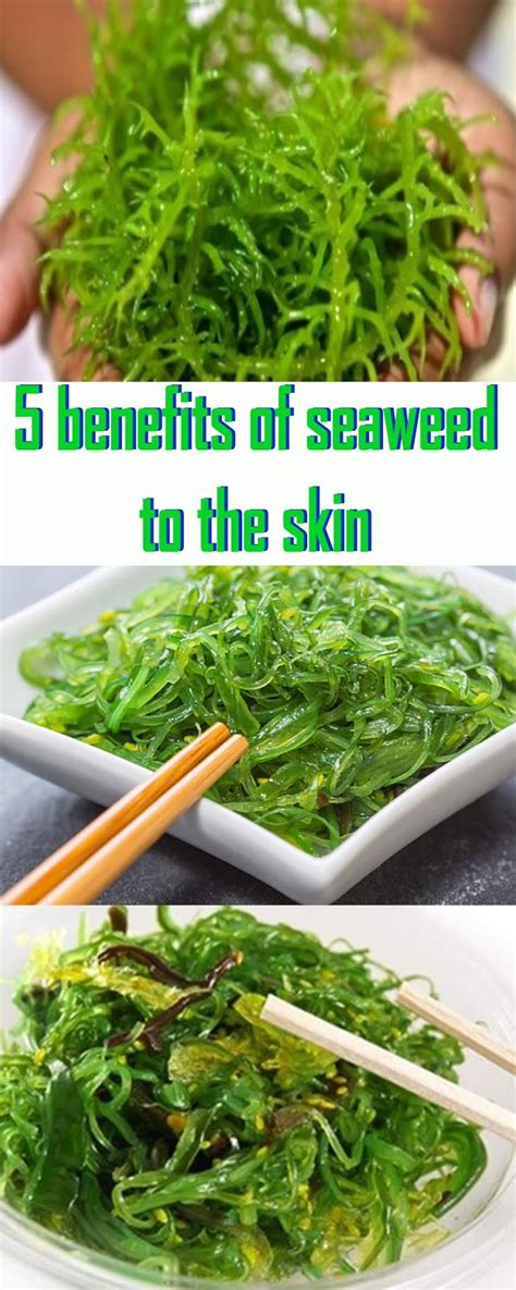 5 Benefits Of Seaweed To The Skin ~ Healthy Moom
