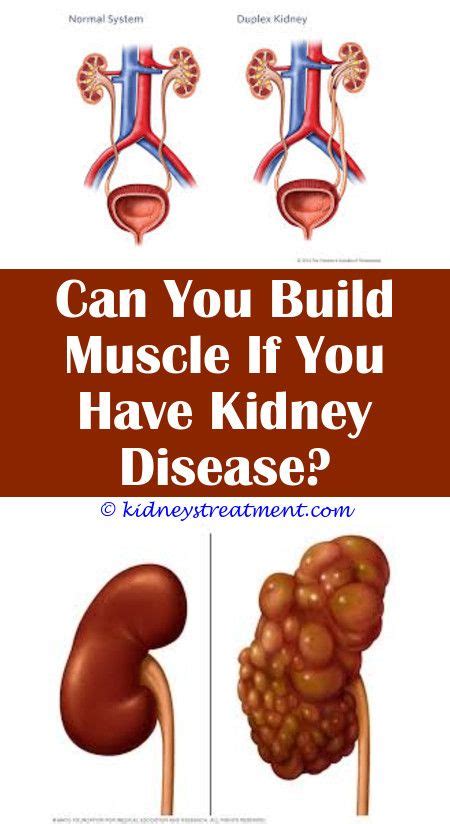 Information and translations of renal disease in the most comprehensive dictionary definitions resource on the web. 4 Miraculous Unique Ideas: Chronic Kidney Disease Stage 3 Definition kidney disease nutrit ...