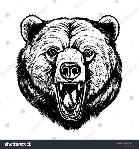Bear Mascot Clipart Grizzly Bear Drawing Bear Art Grizzly Bear Tattoos Weareaccess Ma