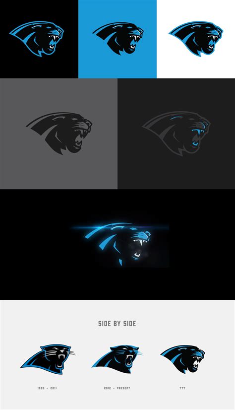 Carolina Panthers Rebrand Concept On Behance Carolina Panthers