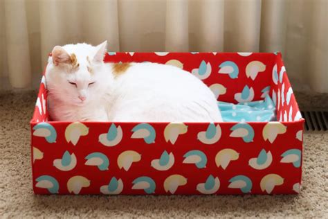 How To Make A Stylish Cat Bed Out Of A Cardboard Box Your Purrfect Kitty