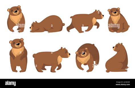 Funny Grizzly Bears Flat Icon Set Cartoon Cute Brown Bear Standing