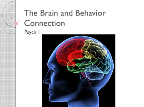 3.1 psychologists use the scientific method to guide their research. PPT - The Brain and Behavior Connection PowerPoint ...