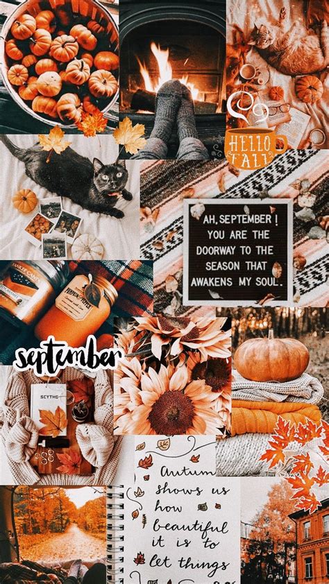 Fall Collage Wallpaper Iphone Wallpaper Fall Cute Fall Wallpaper Halloween Wallpaper Iphone