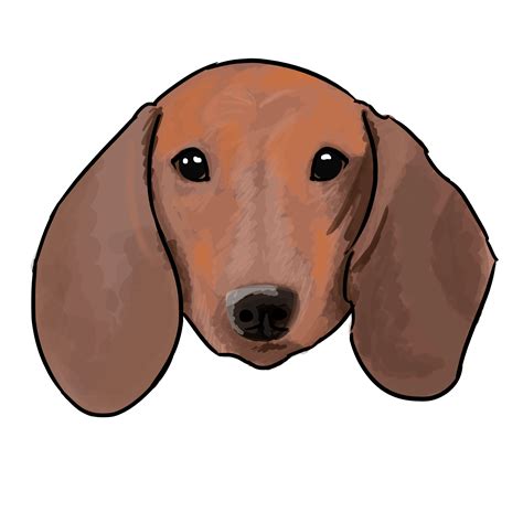 Dachshund Png