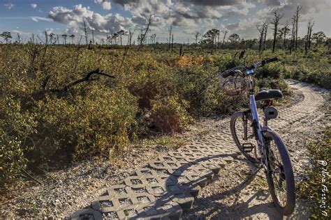 The river campground, with 52 sites, is about four miles from the park entrance, near the loxahatchee river. SP Campground Review - Jonathan Dickinson State Park ...