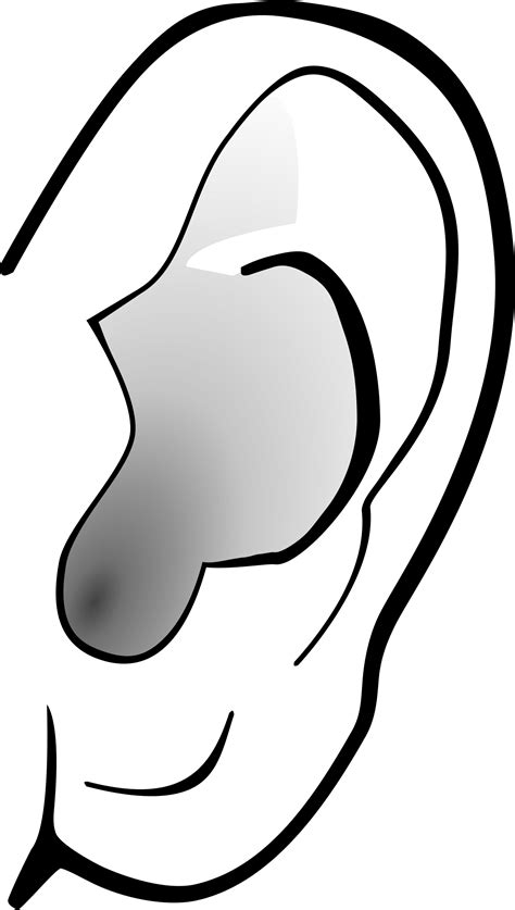 Ear Clipart Listening Ear Listening Transparent Free For Download On