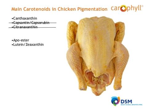 Chicken And Egg Pigmentation With Carophyll®