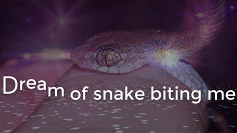 34 Snake Bite In Dream Astrology Astrology Today