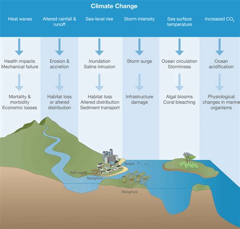 Overview Of The Impacts On Our Coast Coastadapt