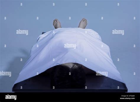 Autopsia Postmortem Fotografía De Stock Alamy