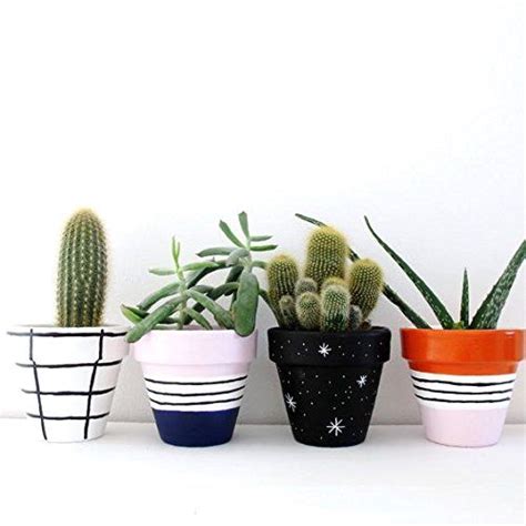 Four Potted Cacti Are Lined Up Against A White Wall With Black And