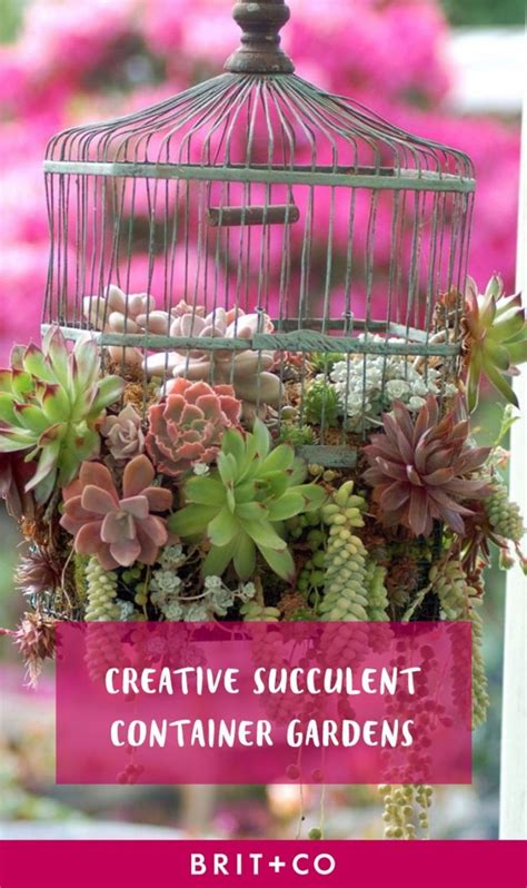 21 Creative Succulent Container Gardens To Diy Or Buy Now Brit Co