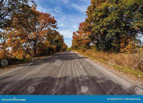 Road With Trees On Both Sides Goes Along Ahead Stock Photo Image Of
