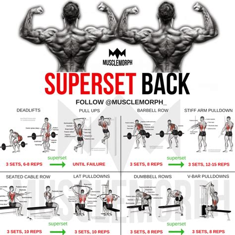Back Workouts To Build Muscle And Strength For Crossfit® Athletes Page 2 Of 3 Boxrox