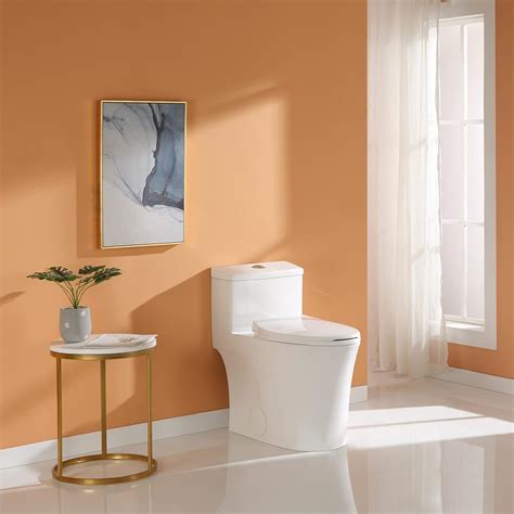 Buy Horow T0338w Elongated One Piece Toilet With Comfort Chair Seat Ada