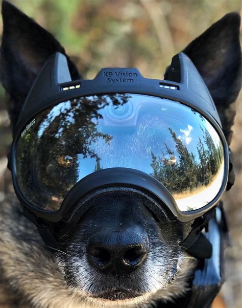 Tactical K9 Tactical Dog Helmet