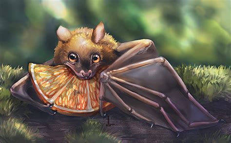Fruit Bat By Designinglua On Deviantart