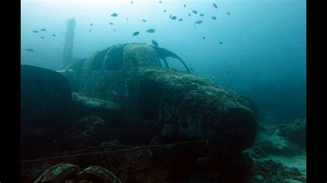 Cebu Scuba Diving Highlights Philippines Youtube