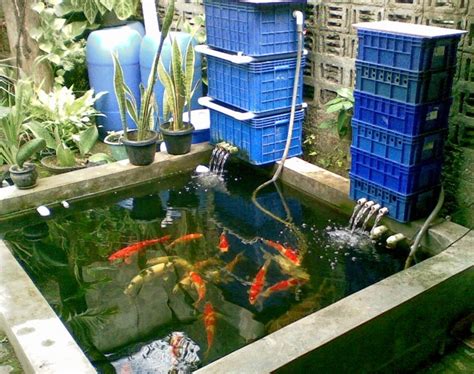 Mengapa harus ada filter dalam koi kolam ikan? Indonesia Tourism: Cara Membuat Kolam Koi Outdoor Tetap Jernih