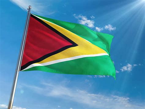 The Flag Of Guyana History Meaning And Symbolism Theusatodaynews