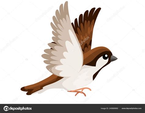 Side View Flying Sparrow Bird Flat Cartoon Character Design Colorful