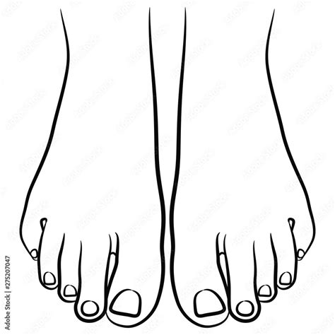 Top View Of Two Bare Human Feet Black And White Linear Silhouette