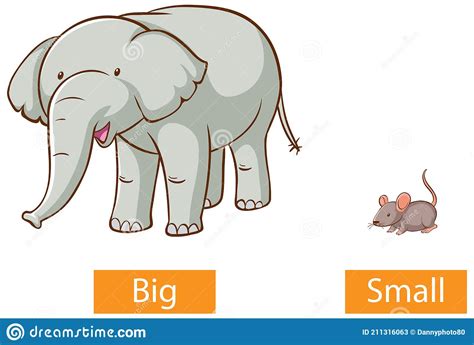 Opposite Adjectives Words With Big And Small Stock Vector