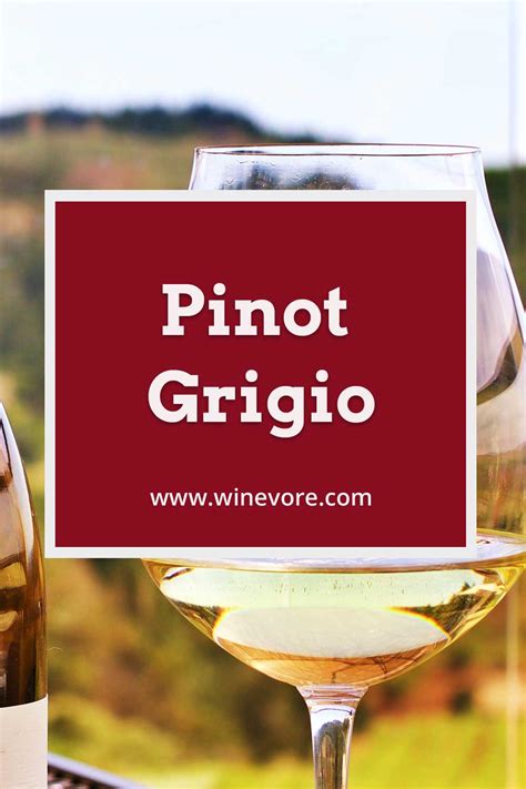 Pinot Grigio Winevore