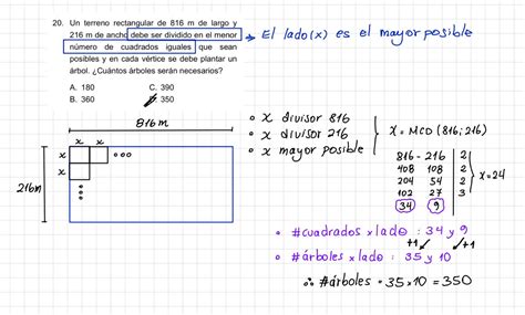 Un Terreno Rectangular De M Por M Se Les Desea Dividir En El