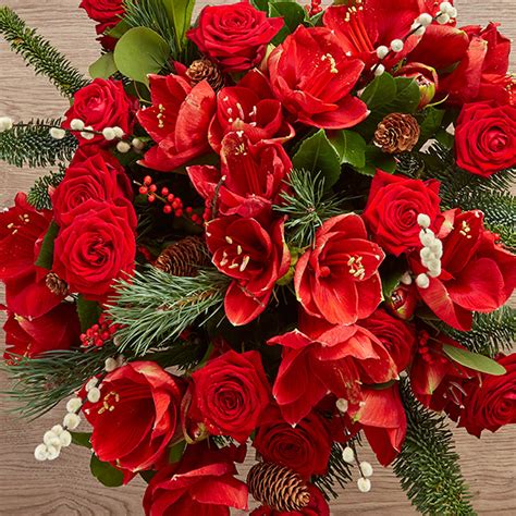 Shop christmas flowers and gifts for delivery from 1800flowers to celebrate the season! Order Fresh, Beautiful Christmas Flowers | UK Next-Day ...