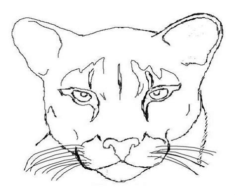 Easy Cougar Coloring Pages
