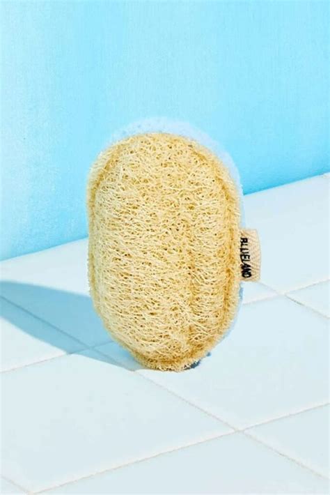 Eco Friendly Sponges Biodegradable Option You’ll Love