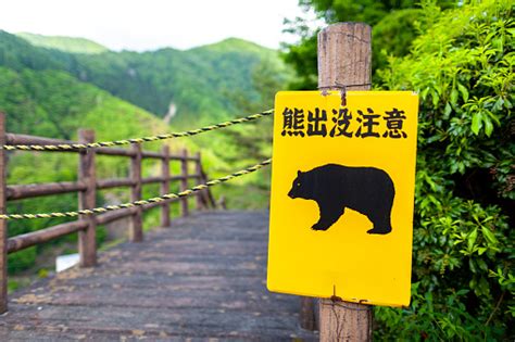 An Image Of Bearwarning Sign Stock Photo Download Image Now Istock