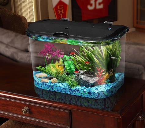 Best Aquarium Starter Kits Reviews On Flipboard Big Fish Tanks Betta