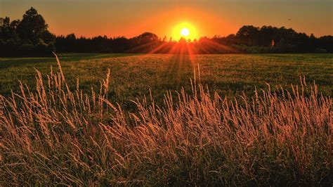 Brown And Green Grass Field During Sunset 3840x2160 Rwallpaper