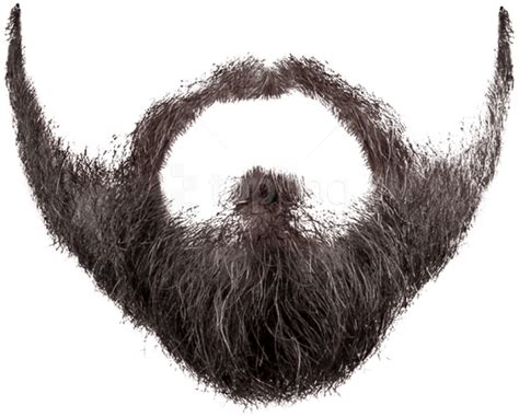 Download Download Beard And Images - Moustache Png Clipart Png Download - PikPng