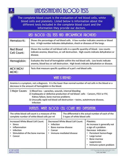 Diagnostic Tests Complete Blood Count Lab Tests For Pets Vet Tech