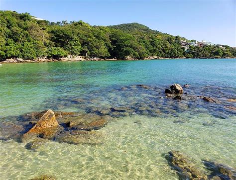 Sc criciúma de r$ 67.437, apartamento padrão para venda em santa bárbara criciúma sc. 10 Praias de Santa Catarina que você deve visitar neste ...