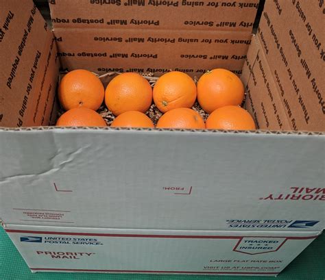 Organic Navel Oranges Large Box — Sequoia Roots Farm