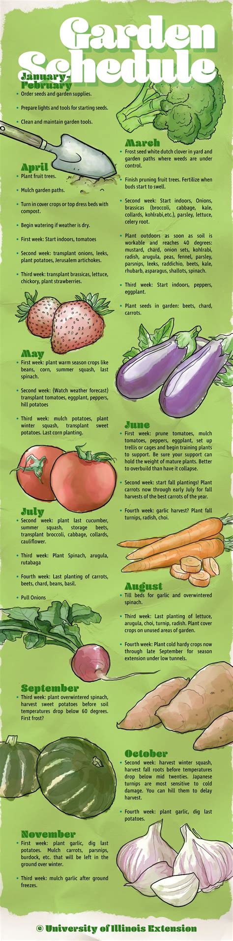 A Month By Month Guide To Gardening Growing Vegetables Plants